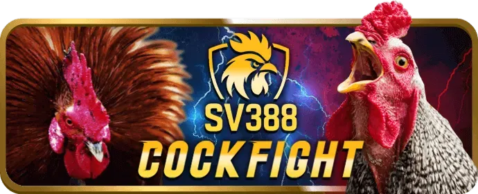 Biểu tượng tiền thưởng chào mừng lớn dành cho người chơi mới tại win55 88k